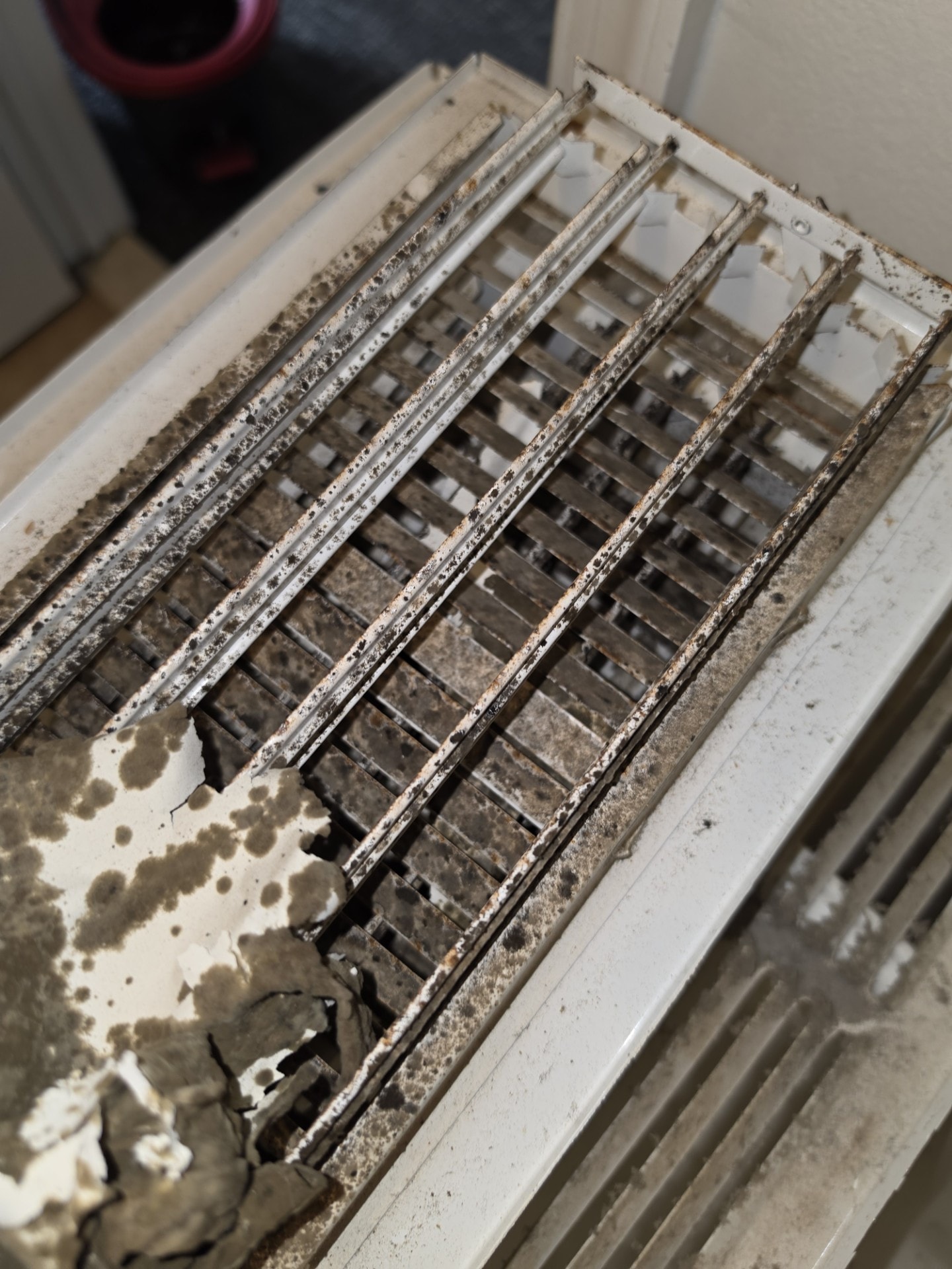 Vent cover covered in mold and heavy debris — Lakewood NJ before cleaning