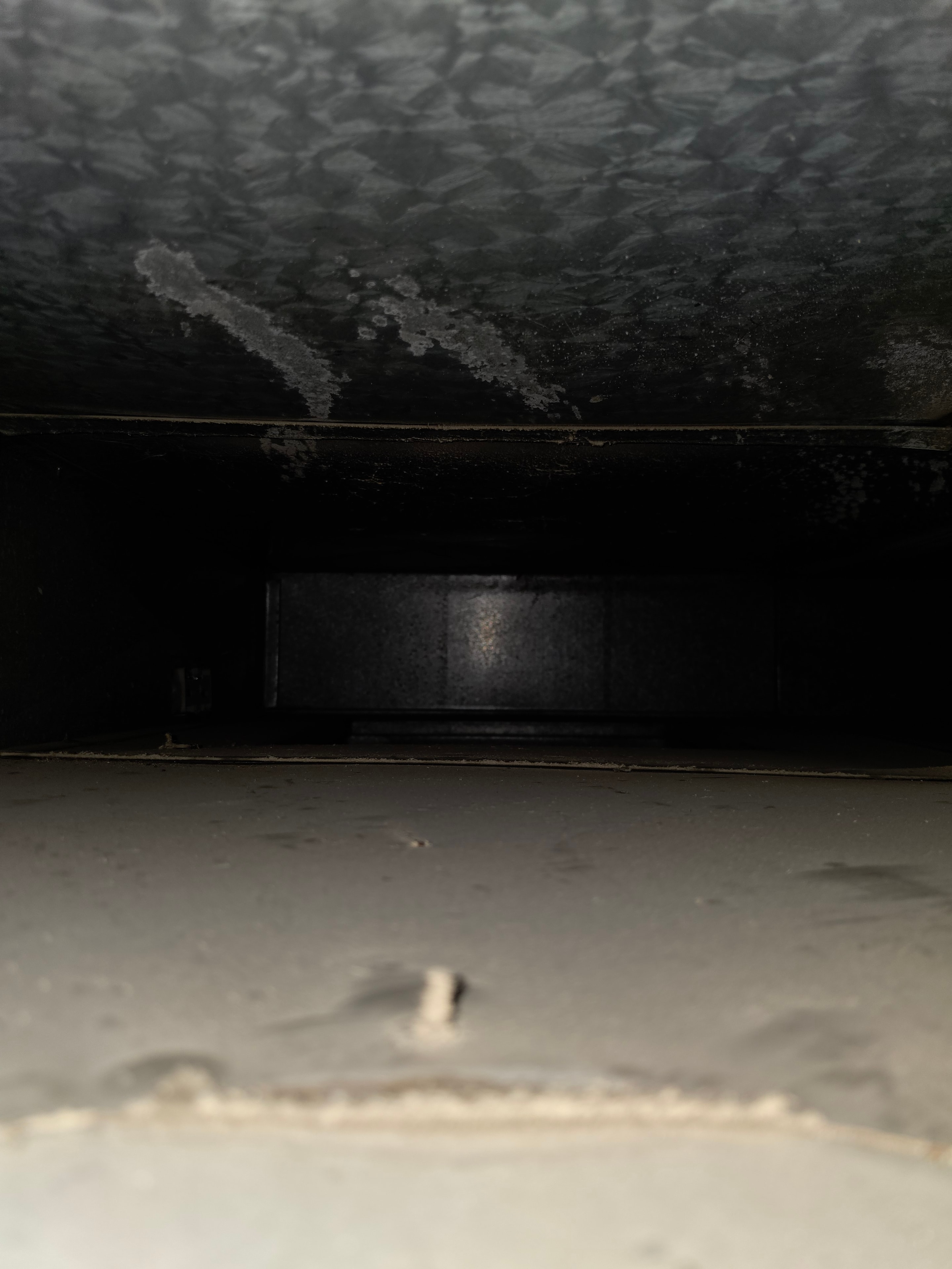 Duct interior showing mildew and heavy debris — Princeton NJ before antimicrobial treatment