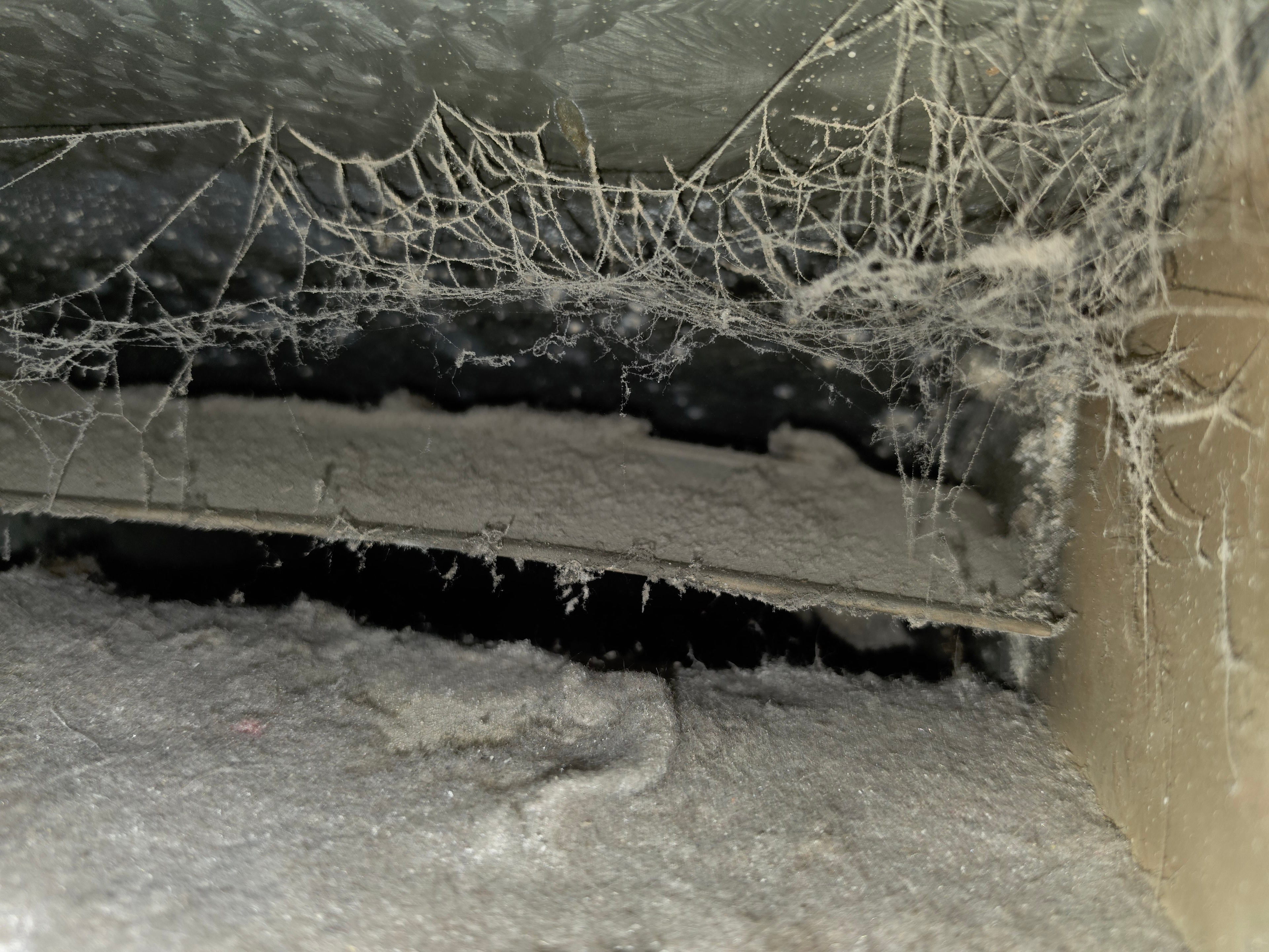 Severe dust and cobweb buildup inside duct — Princeton NJ before cleaning